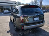 New 2025 Kia Telluride EX image 4