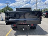 New 2025 Ford F550 4x4 Regular Cab Super Duty image 6