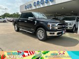 New 2025 Ford F150 Lariat image 1