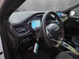 New 2024 Ford Escape ST-Line w/ Equipment Group 301A image 3