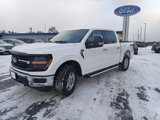New 2025 Ford F150 XLT w/ Equipment Group 301A Standard image 2