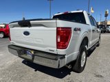 Certified 2023 Ford F150 XLT w/ Equipment Group 301A Mid image 3