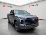 New 2025 Toyota Tundra SR5 image 2