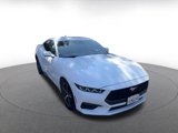 Used 2024 Ford Mustang Premium image 3