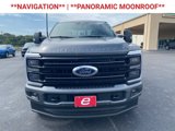 New 2025 Ford F250 Platinum image 2