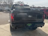 New 2025 Ford F150 XLT image 4
