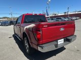 New 2025 Ford F150 XLT w/ Equipment Group 302A MID image 5