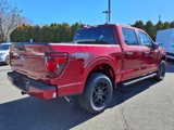 New 2025 Ford F150 STX w/ STX Black Appearance Package image 5