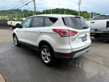 Used 2015 Ford Escape SE image 6