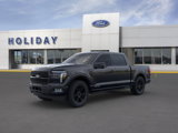 New 2025 Ford F150 Platinum w/ Equipment Group 702A High image 2