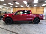 New 2025 Ford F150 XLT w/ Equipment Group 302A MID image 4