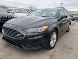 Used 2019 Ford Fusion SE image 3