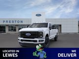 New 2025 Ford F350 Platinum image 3