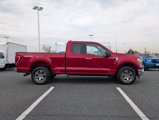 Certified 2021 Ford F150 XLT w/ Equipment Group 301A Mid image 3