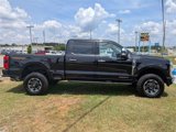 Used 2024 Ford F250 Platinum w/ Tremor Off-Road Package image 4