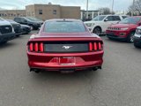 Certified 2016 Ford Mustang Premium image 4