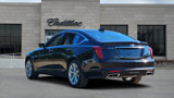New 2026 Cadillac CT5 Premium Luxury w/ Technology Package image 4