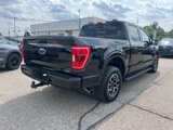 Certified 2023 Ford F150 XLT w/ Equipment Group 302A High image 4