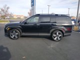 New 2025 Hyundai Palisade Calligraphy image 5