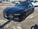 Used 2024 Ford Mustang Premium image 2