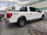 Certified 2023 Ford F150 XLT w/ Equipment Group 302A High image 4