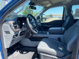 New 2025 Ford F150 XLT image 6