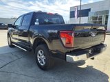 New 2025 Ford F150 XLT image 3