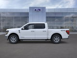 New 2024 Ford F150 XLT w/ Equipment Group 302A MID image 3