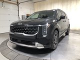 New 2026 Kia Carnival SX image 3