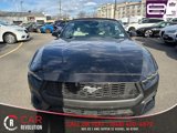 Used 2024 Ford Mustang Premium image 2