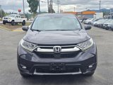 Used 2019 Honda CR-V EX-L image 2