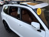 Used 2023 Kia Telluride SX Prestige X-Line image 5