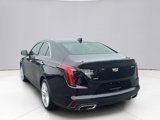 Certified 2024 Cadillac CT4 Premium Luxury image 3