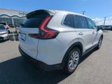 Certified 2024 Honda CR-V EX image 4