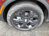 New 2025 Kia Sportage X-Line image 5