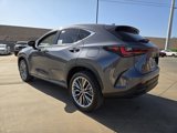 New 2025 Lexus NX 300h AWD w/ Luxury Package image 4