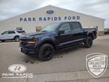 New 2025 Ford F150 XLT w/ Equipment Group 303A High image 1