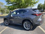 New 2026 Lexus NX 350 AWD w/ Luxury Package image 4