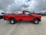 New 2025 Ford F250 XLT w/ FX4 Off-Road Package image 4
