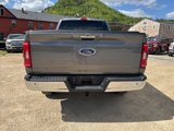 Used 2023 Ford F150 XLT w/ Equipment Group 302A High image 4