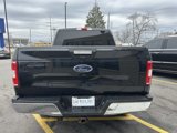 Used 2019 Ford F150 XLT w/ Equipment Group 302A Luxury image 6