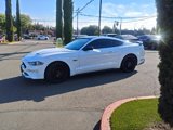 Used 2023 Ford Mustang GT w/ Mustang Nite Pony Package image 3