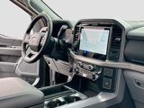 New 2025 Ford F150 XLT image 5