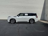 Used 2025 INFINITI QX80 Sensory image 4