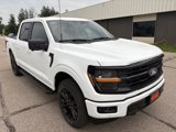 New 2025 Ford F150 XLT image 3