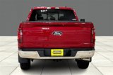 New 2025 Ford F150 XLT w/ Equipment Group 302A MID image 4