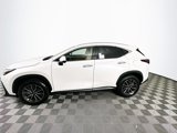New 2025 Lexus NX 350h AWD w/ Premium Package image 4
