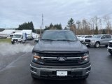 New 2025 Ford F150 XLT w/ Equipment Group 302A MID image 2