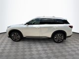 New 2026 INFINITI QX60 Luxe w/ Cargo Package image 4
