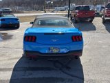 Used 2024 Ford Mustang Premium image 6